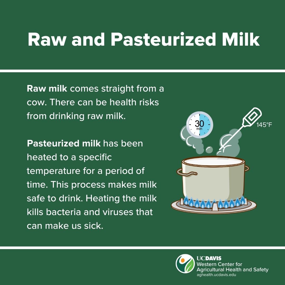 Text and illustrative description of raw and pasteurized milk