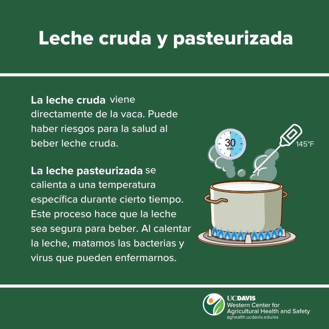 Illustrative image and text about raw and pasteurized milk