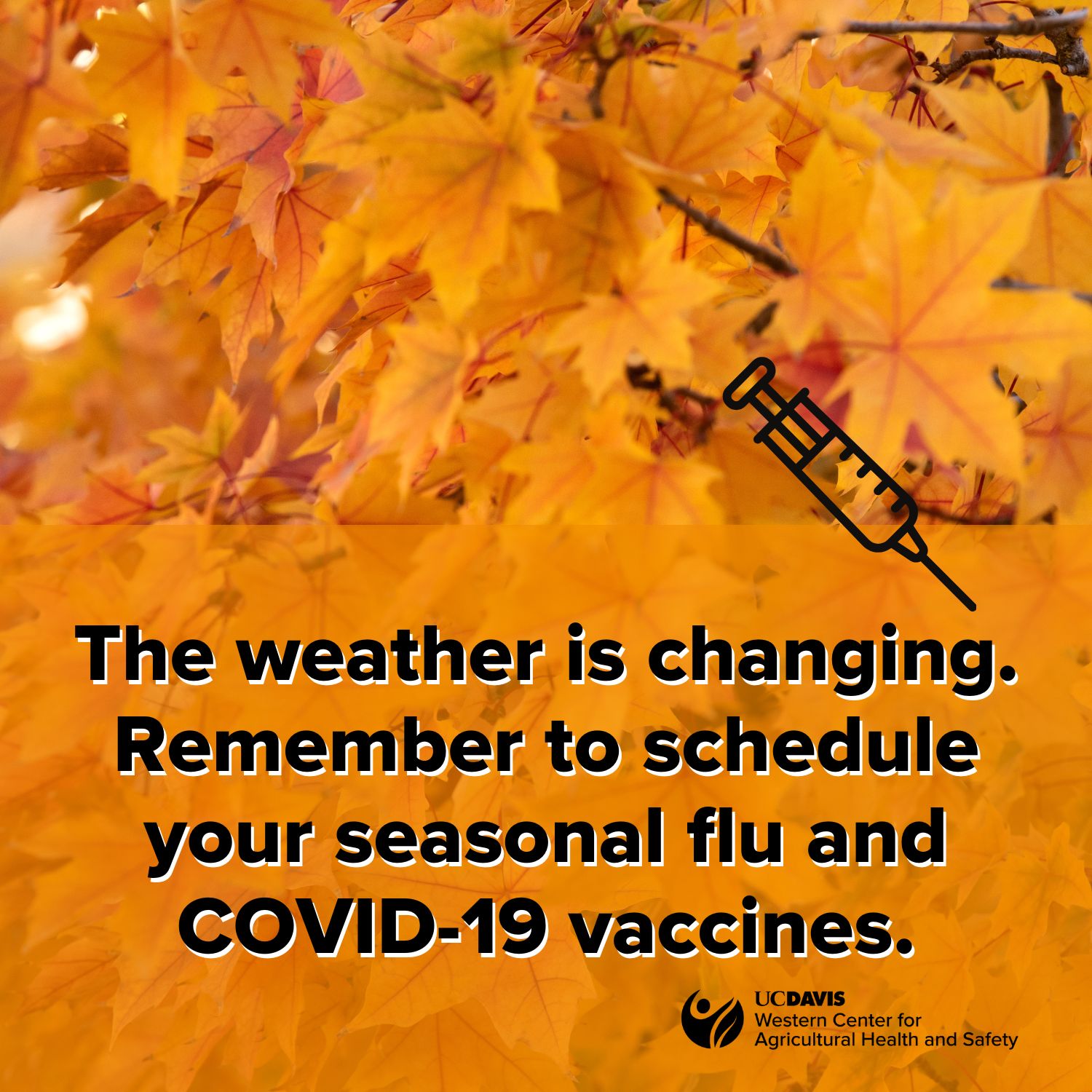 Background of yellow leaves with a reminder to schedule flu and COVID vaccines