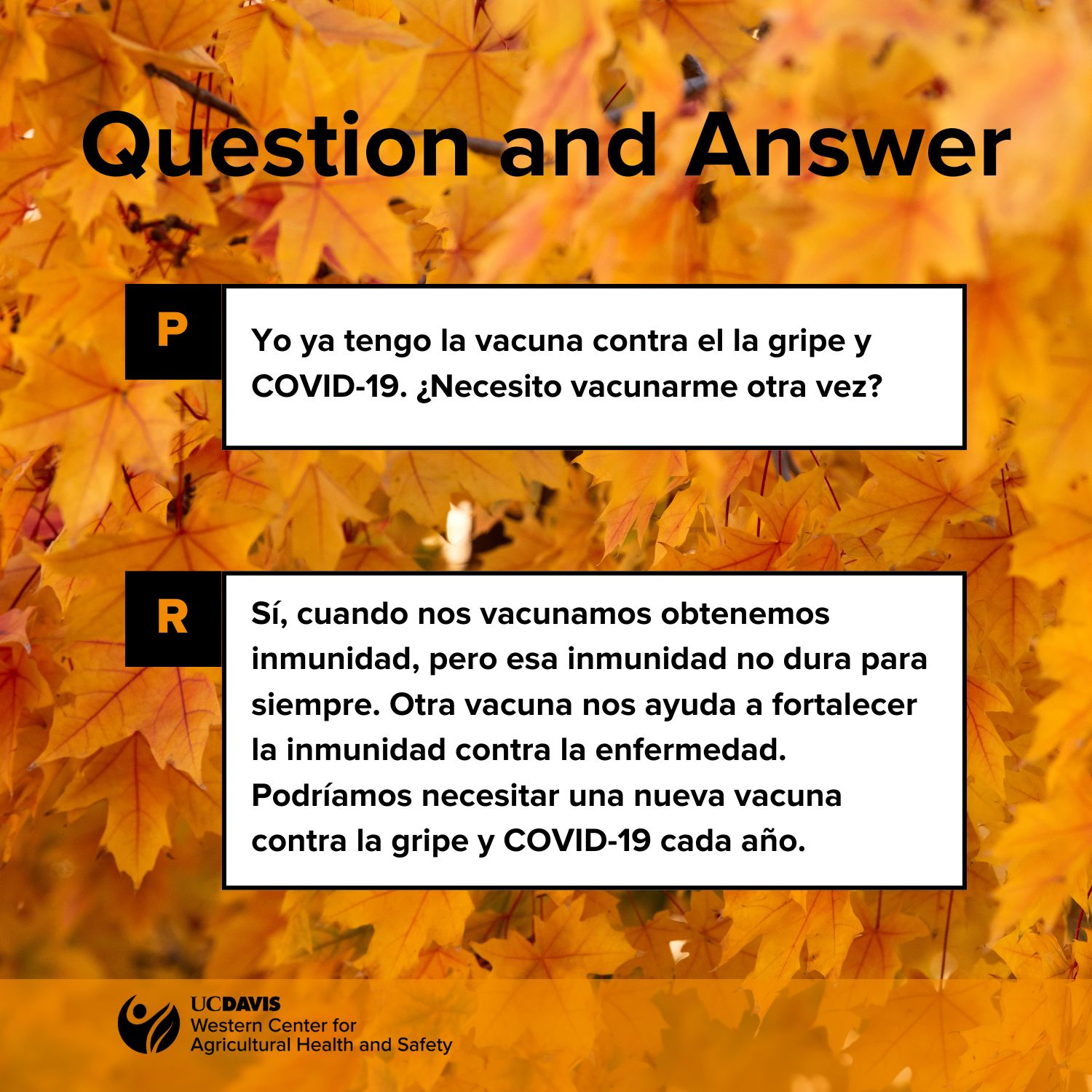 Background of yellow leaves with a Q and A about vaccines Spanish