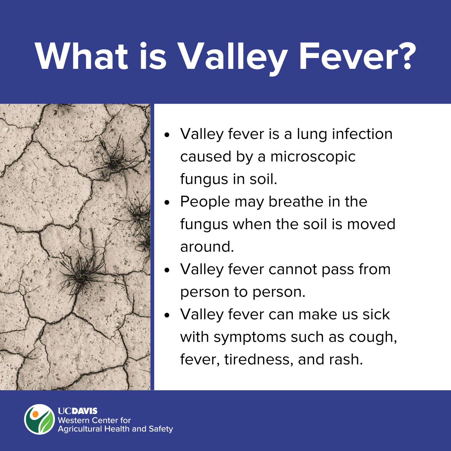 Image briefly explaining Valley fever
