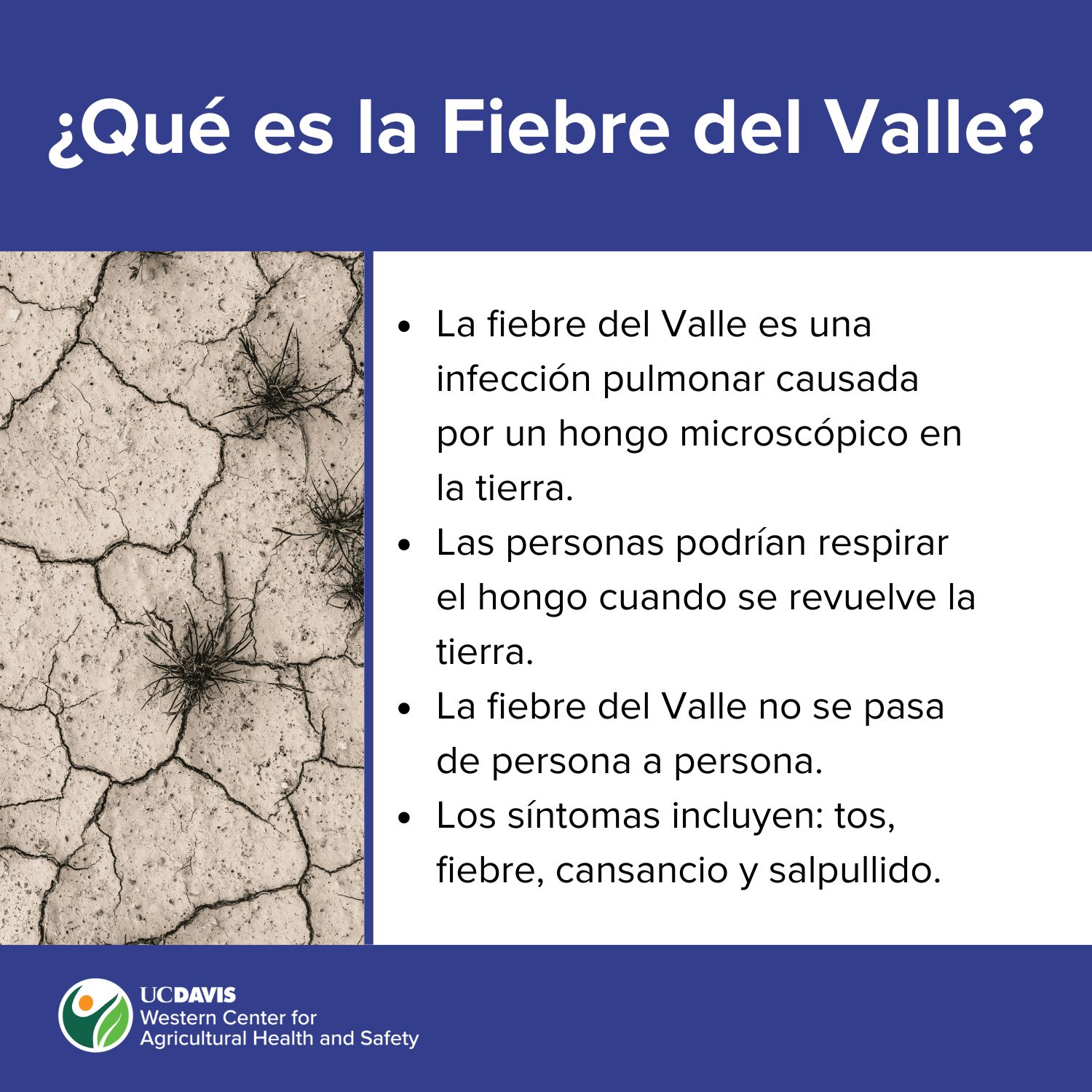 Information about Valley fever in Spanish