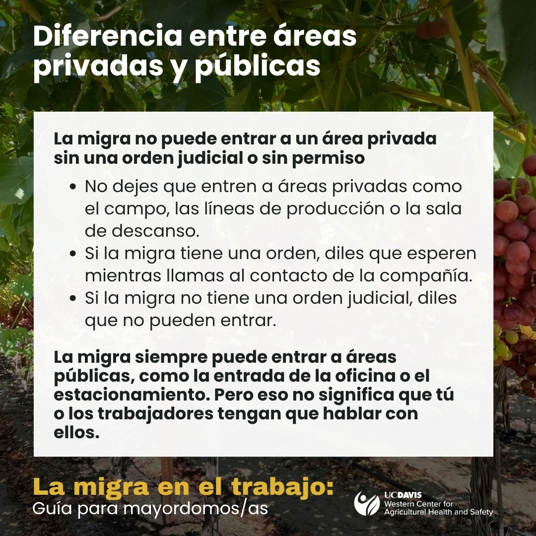 Diferencia entre areas privadas y publicas