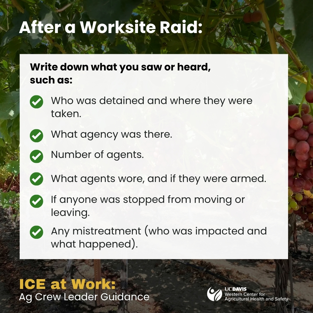 What to do after a worksite ICE raid