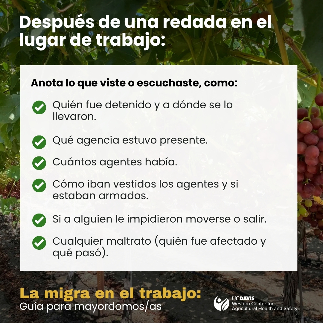 Despues de una redada en el lugar de trabajo