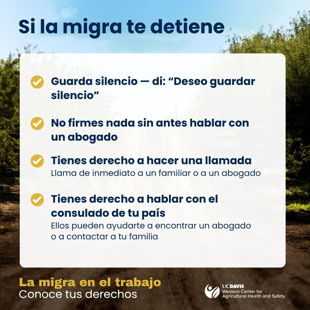 Si la migra te detiene