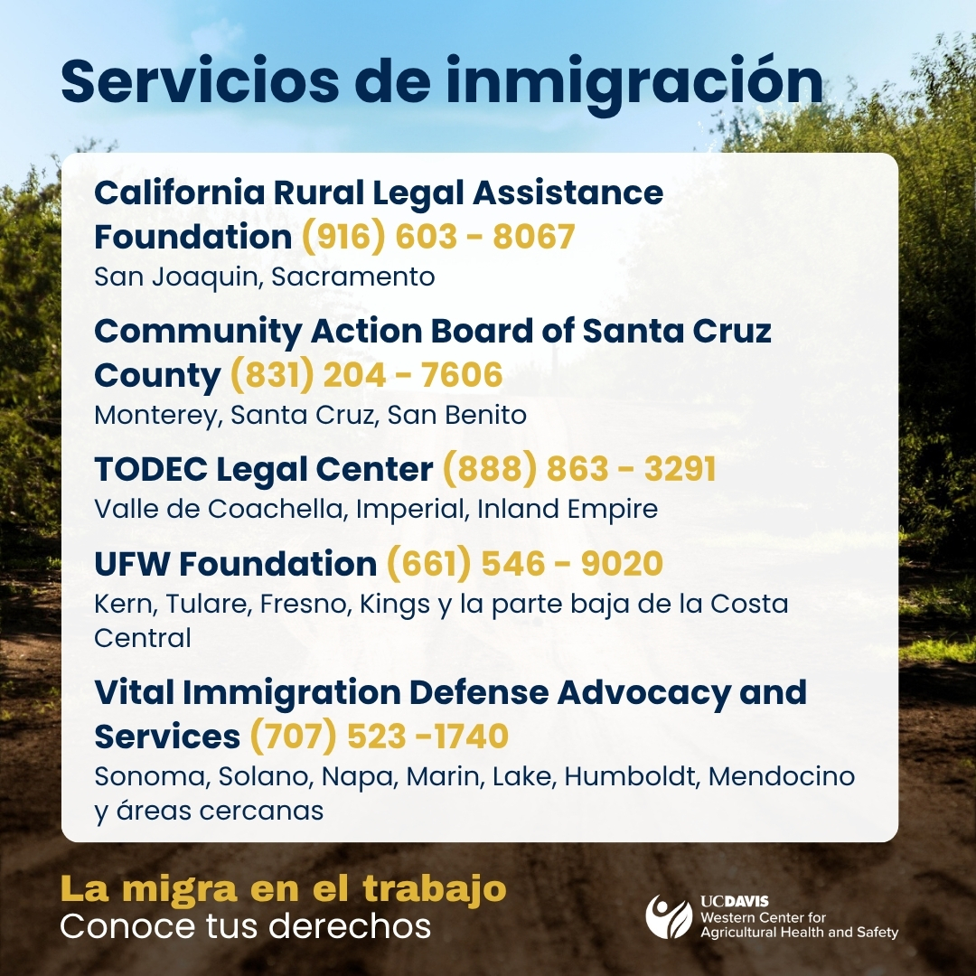 Servicios de inmigracion