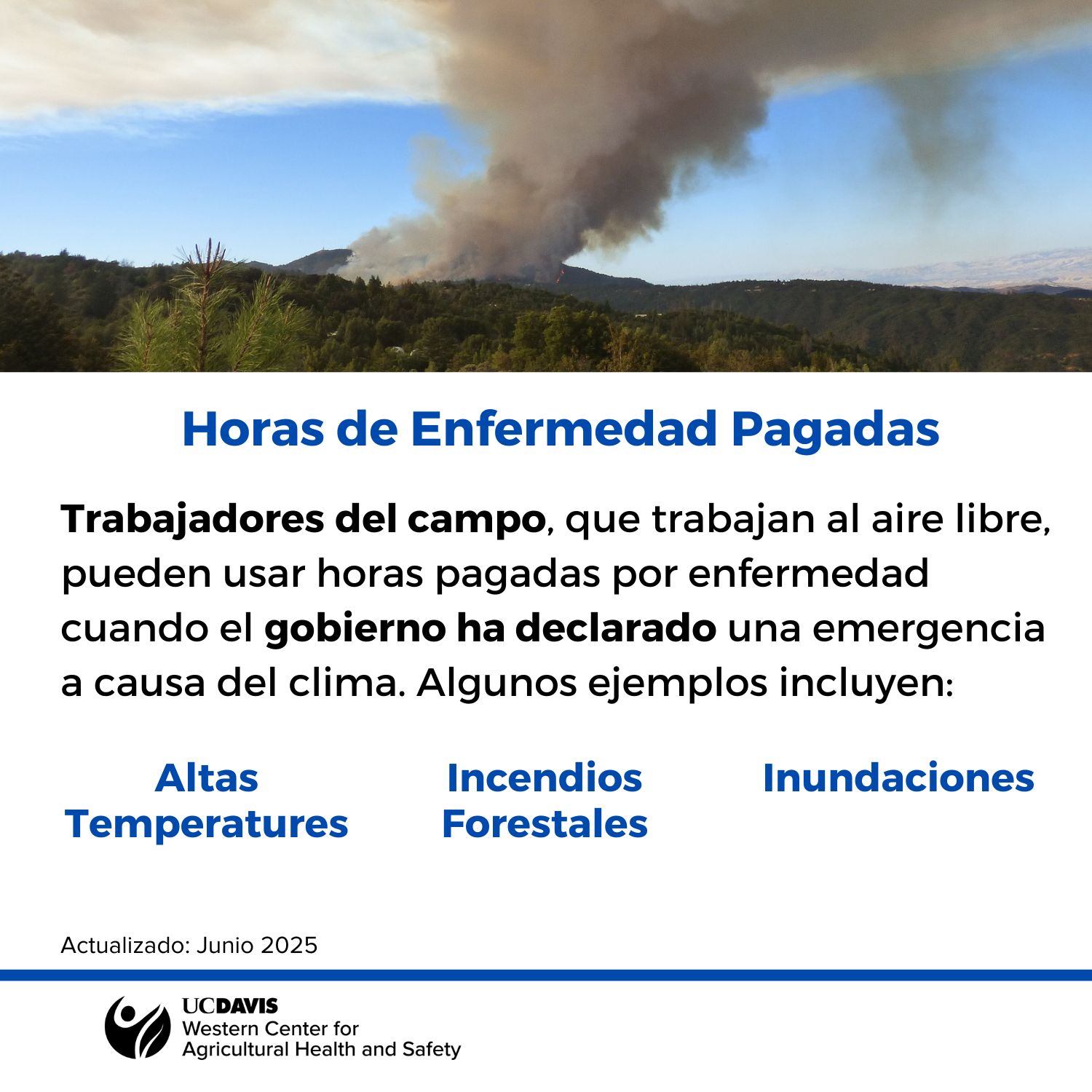 Paid sick leave information in Spanish