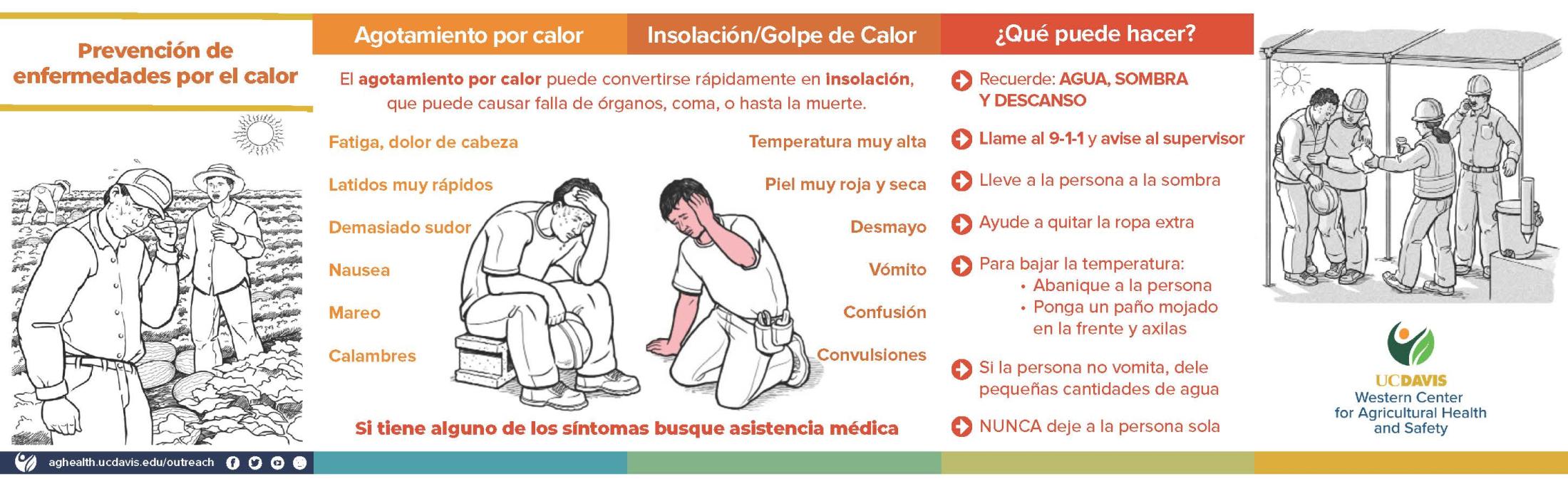 Tarjeta de Bolsillo sobre las Enfermedades por el Calor