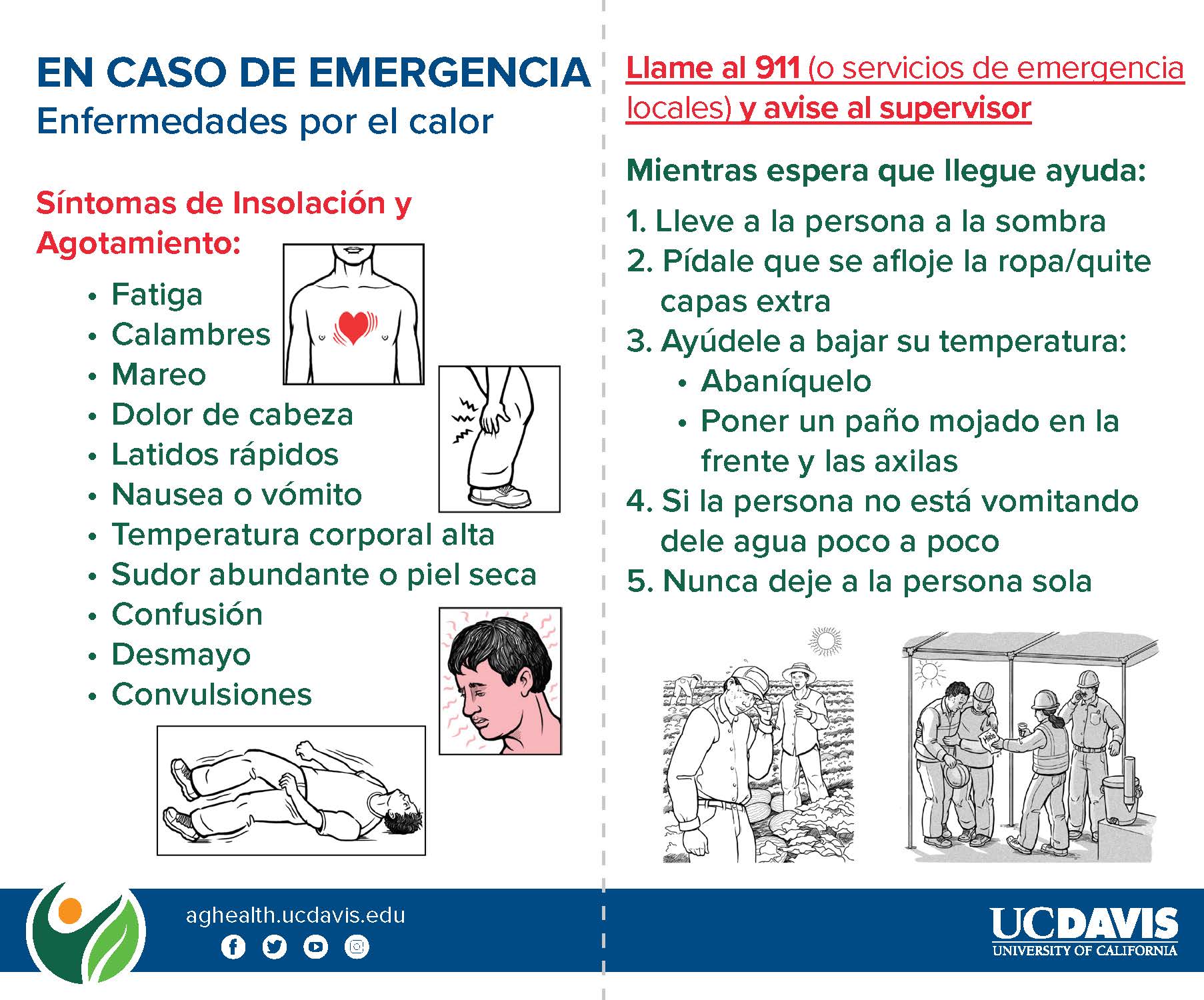 Heat Related Illness Card