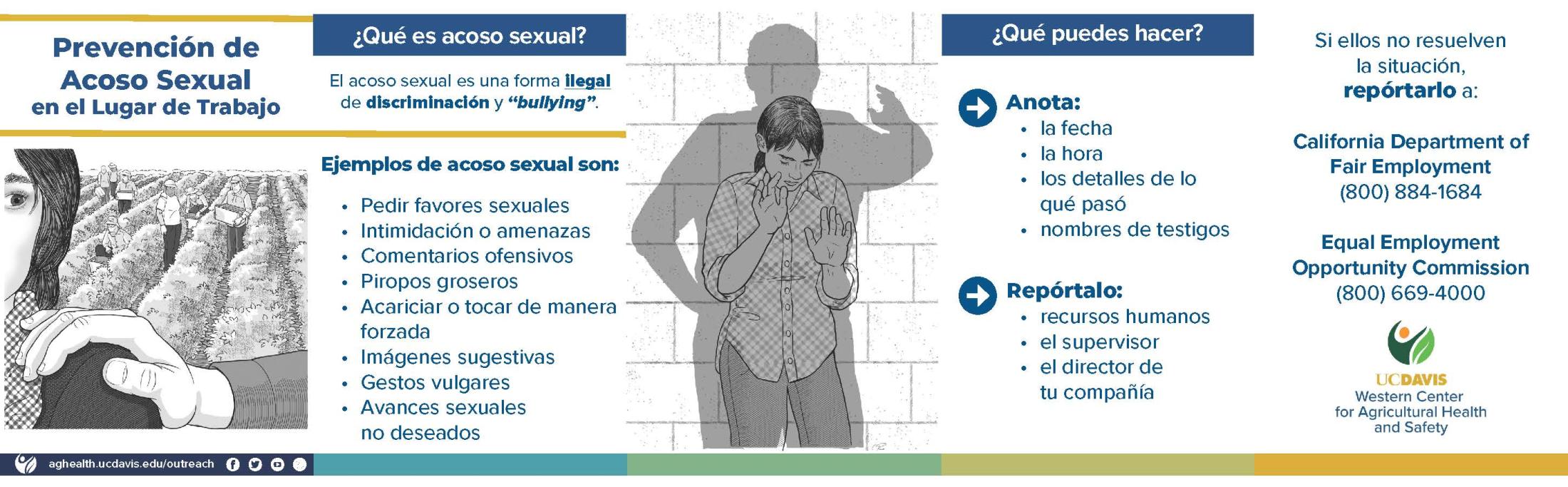 Tarjeta de Bolsillo de Acordeón de la Capacitación de Prevención del Acoso Sexual
