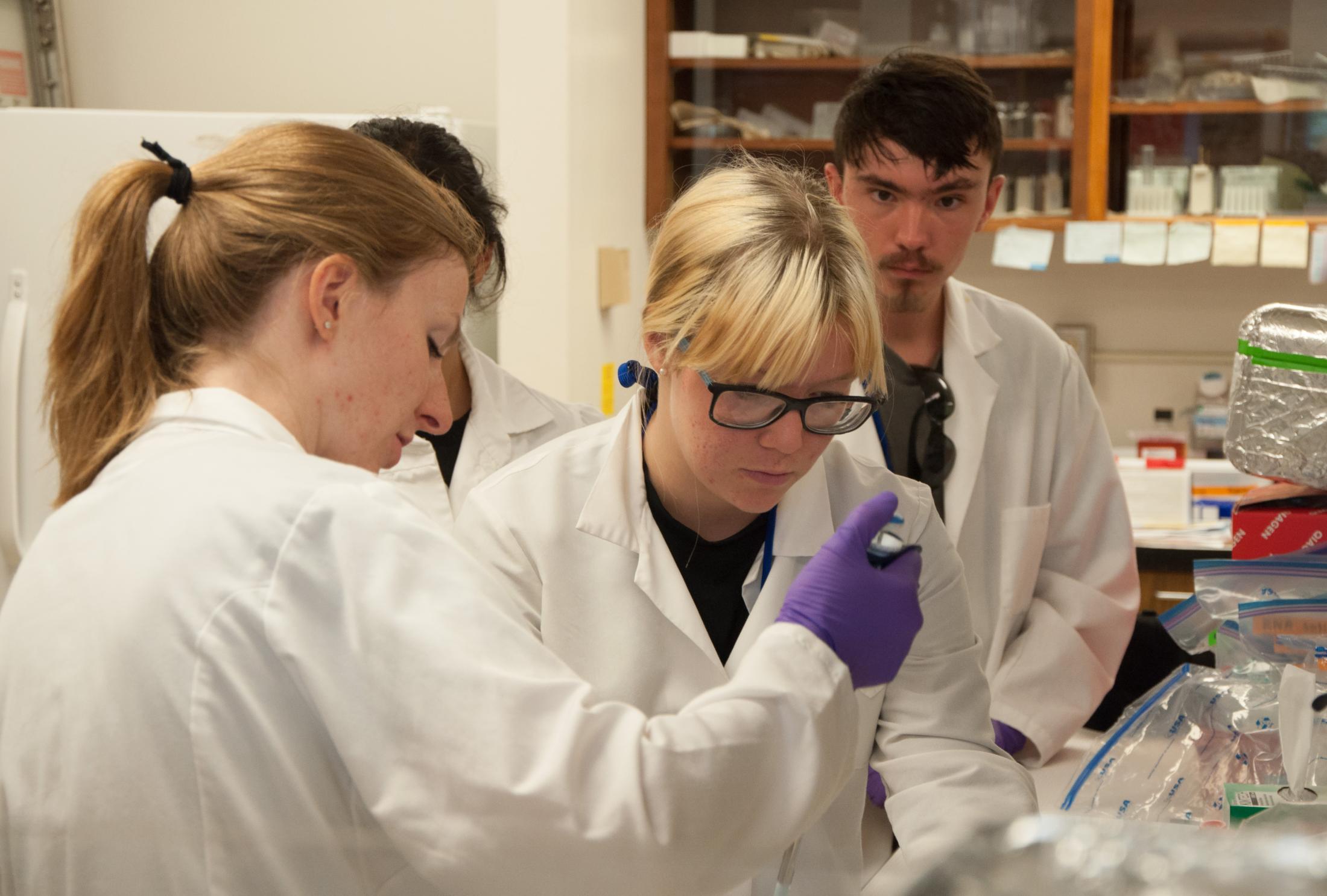Students in a lab