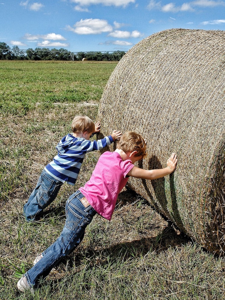 Young boys pushing straw bale