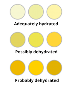 Dehydration levels graph