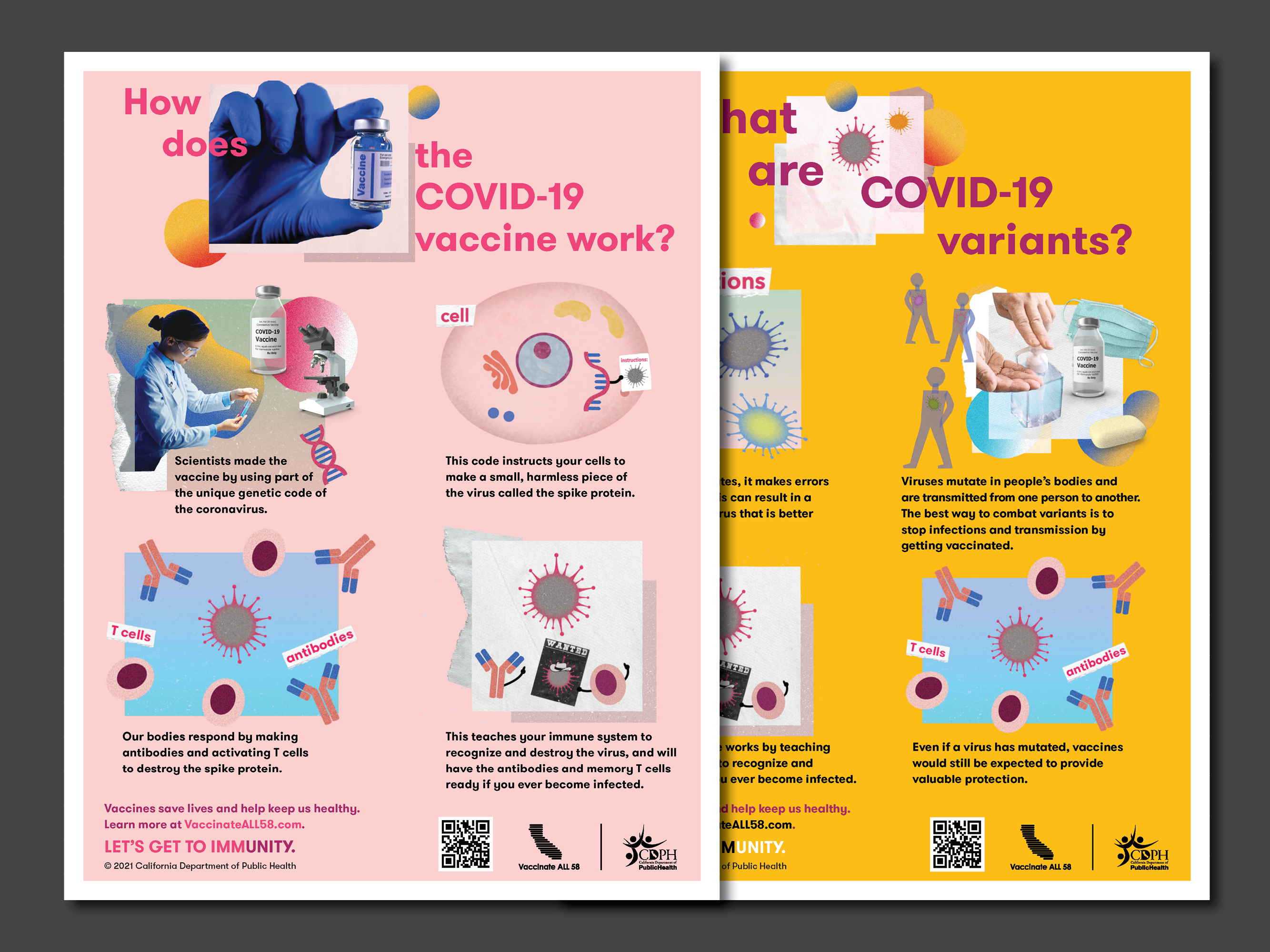 Thumbnail of CDPH vaccine handouts in English