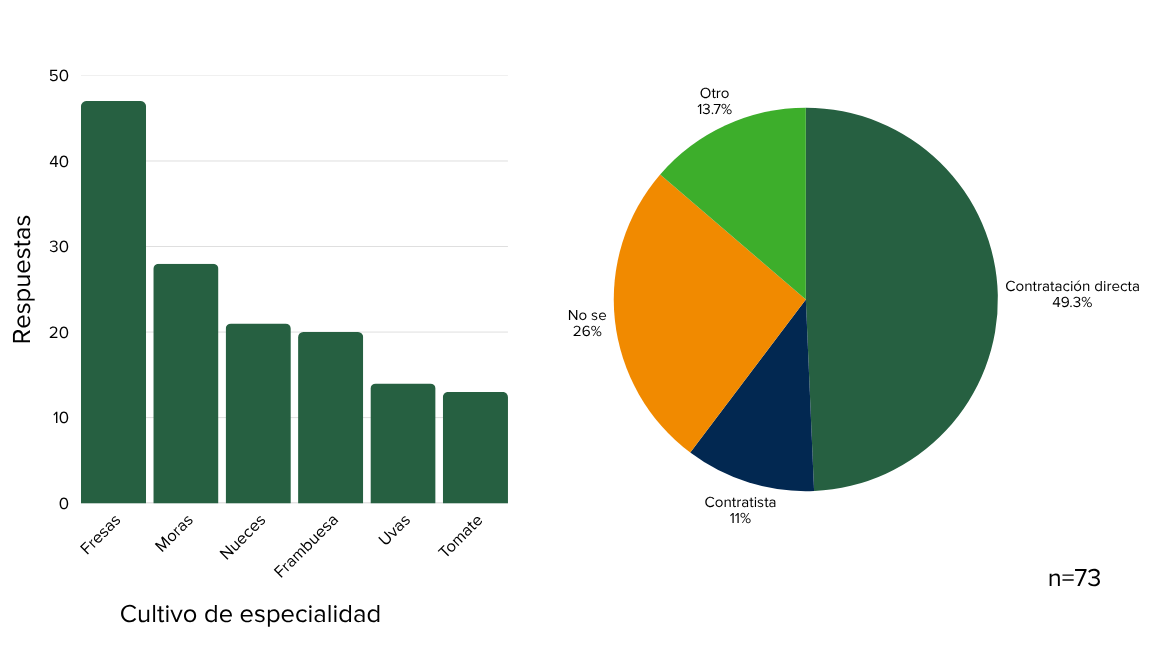 Bar graph and pie chart