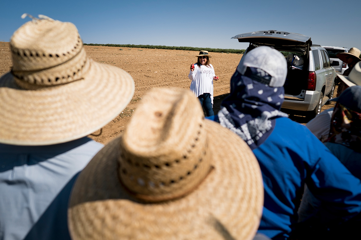 Teresa Andrews trains farmworkers in the field