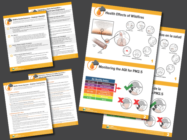 Collage of Wildfire Smoke Training Materials