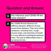 Flu and COVID-19 (English)