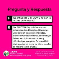 Flu and COVID-19 (Spanish)
