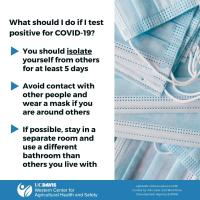 COVID-19 Test Positive (English)