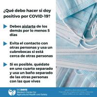 COVID-19 Test Positive (Spanish)