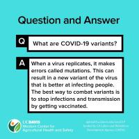 What are COVID-19 Variants (English)