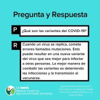 What are COVID-19 Variants (Spanish)