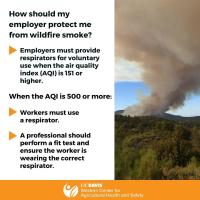 Wildfire Smoke Protections (English)