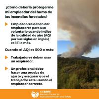 Wildfire Smoke Protections (Spanish)
