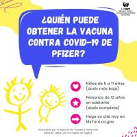 Youth Vaccines (Spanish)