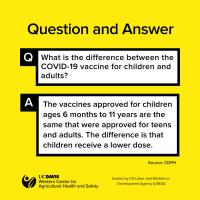 COVID-19 Vaccines - Difference Between Adult and Youth (English)