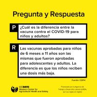 COVID-19 Vaccines - Difference Between Adult and Youth (Spanish)