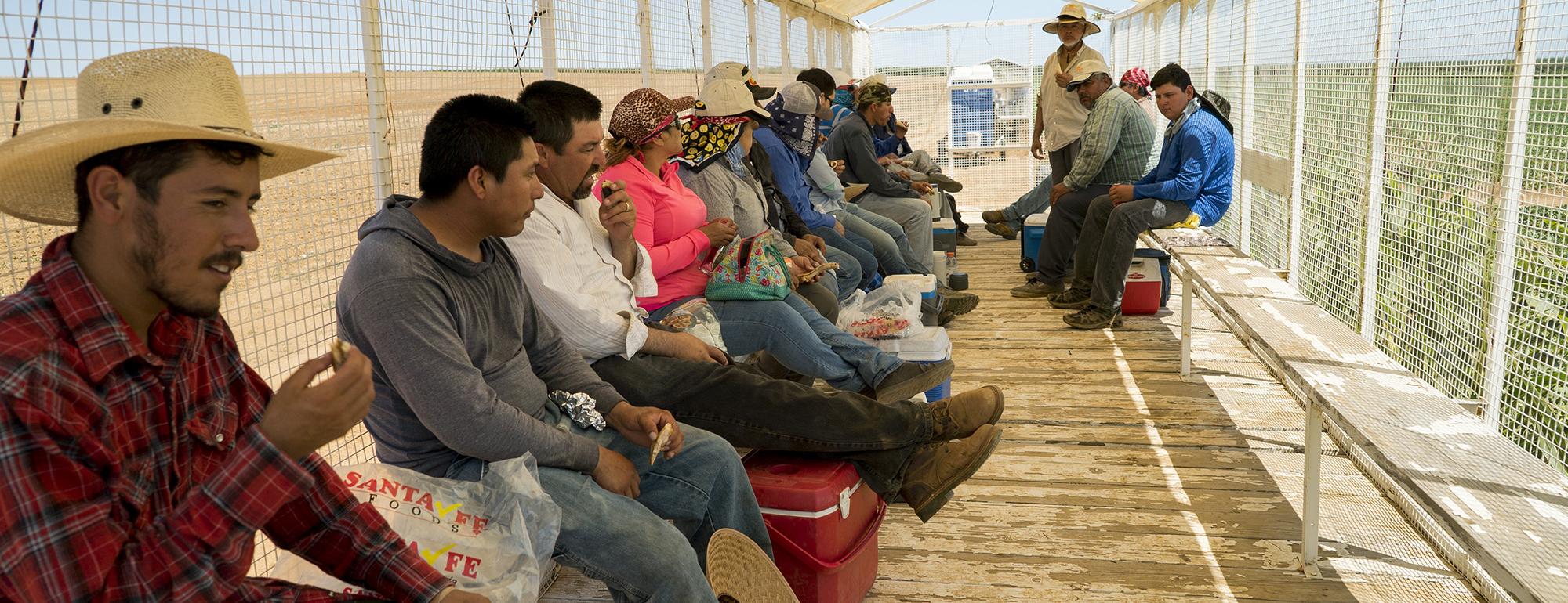 Farmworkers rest in a shade structure