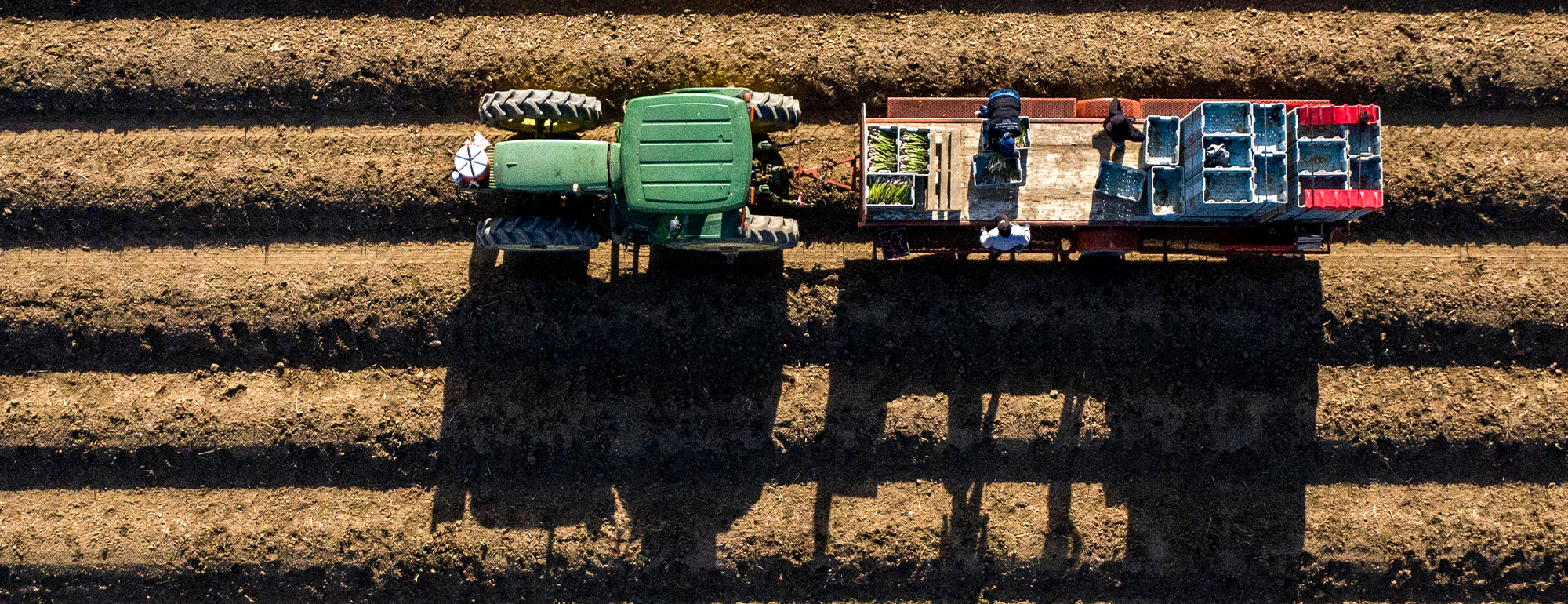 Aerial view of tractor in a field