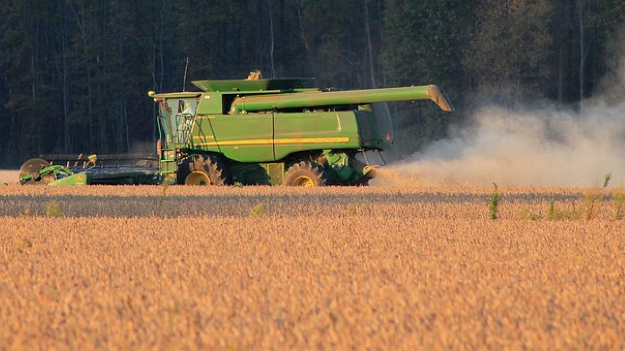 Harvest dust from field