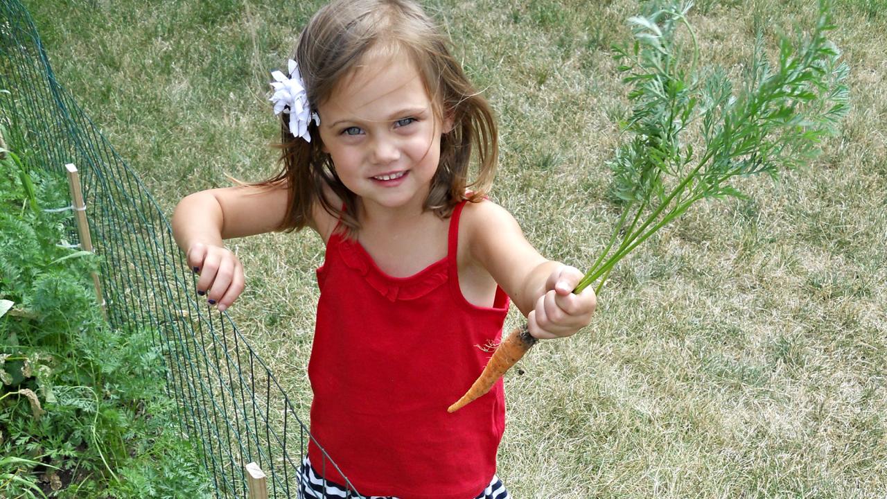 Photo provided by the Central States Center for Agricultural Safety and Health (CS-CASH) Young girl holding freshly pulled carrot