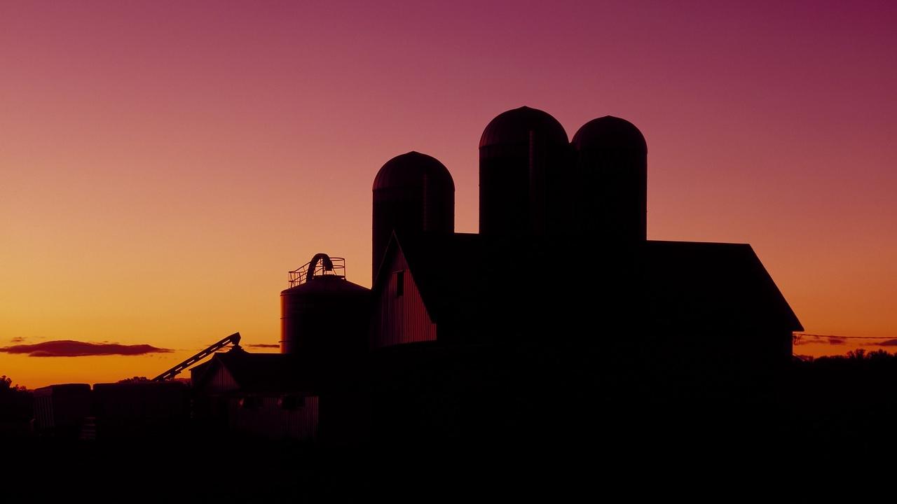 Dairy barn at sunset