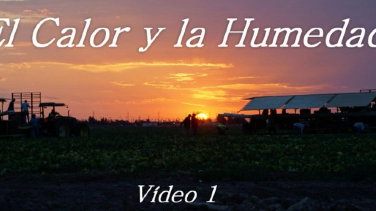 Still from El Calor y la Humedad video