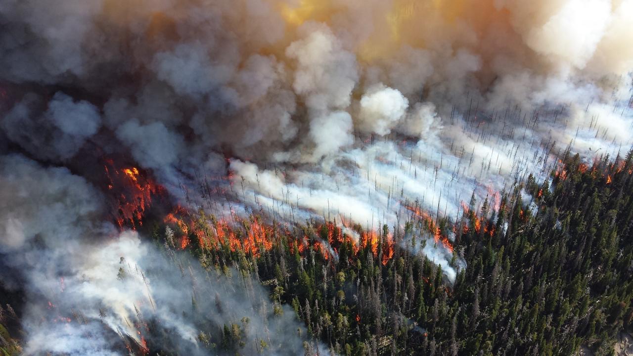 smoke from wildfires