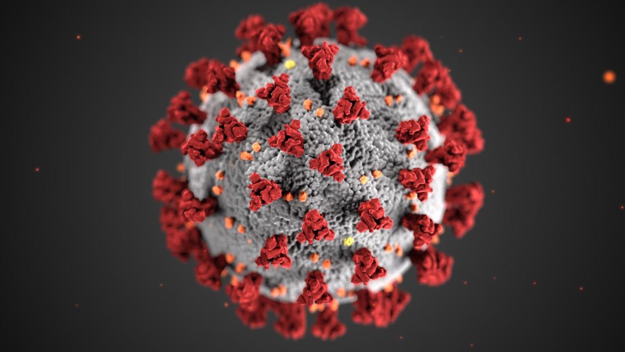 COVID-19 molecule