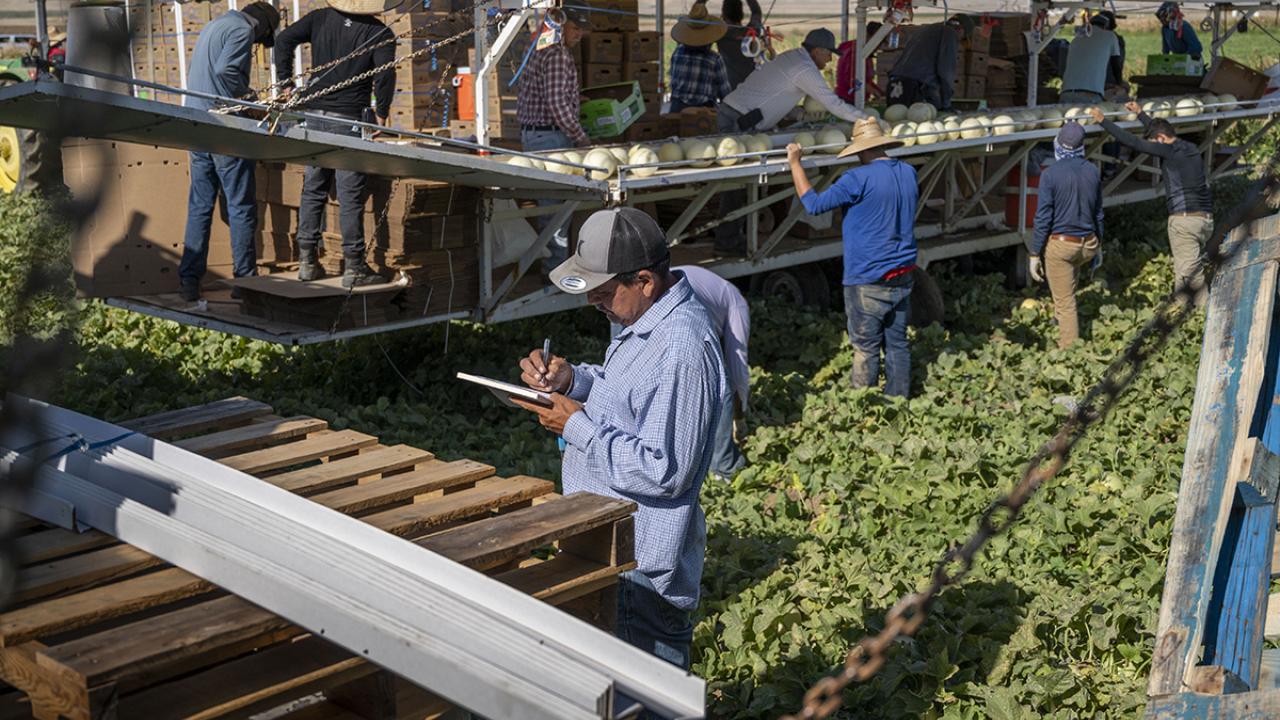 Agricultural supervisor making notes