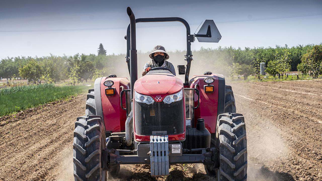 A farmworker rides a tractor in the field
