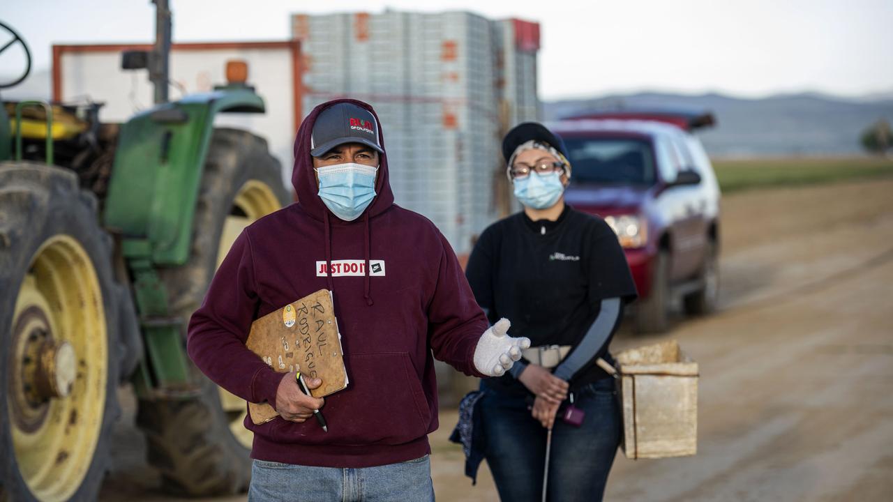 A supervisor trains agricultural workers in the field