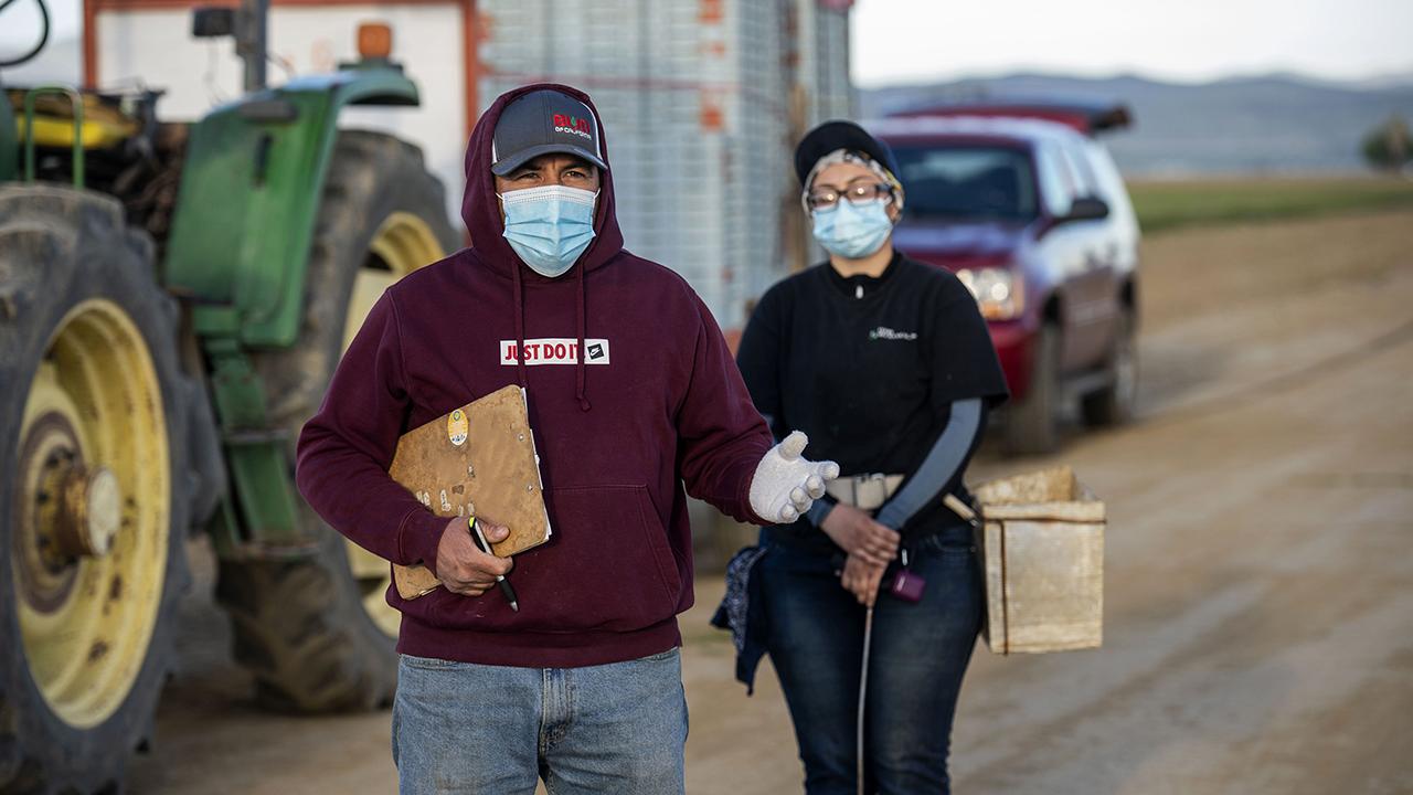 A supervisor provides a training to farmworkers in the field