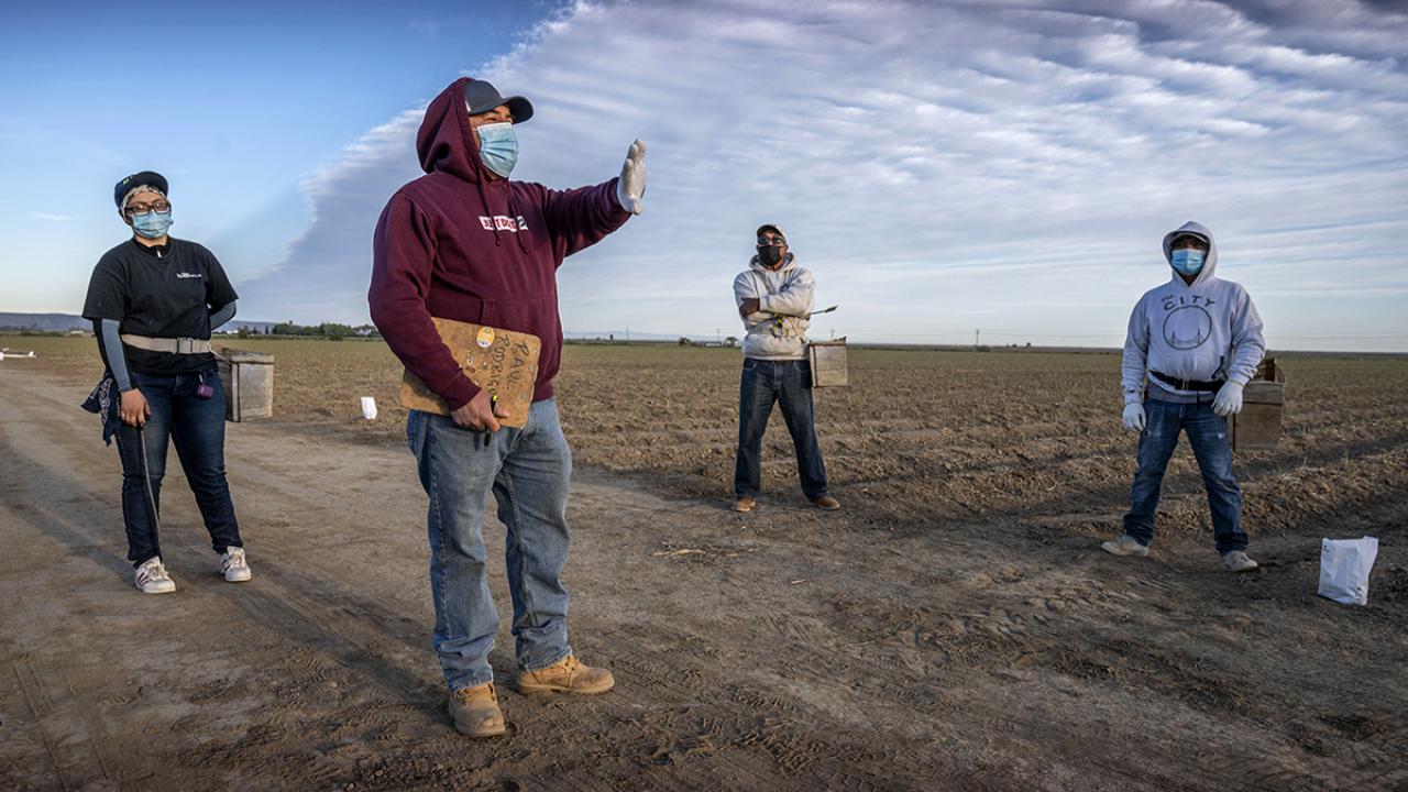 A supervisor trains farmworkers in the field
