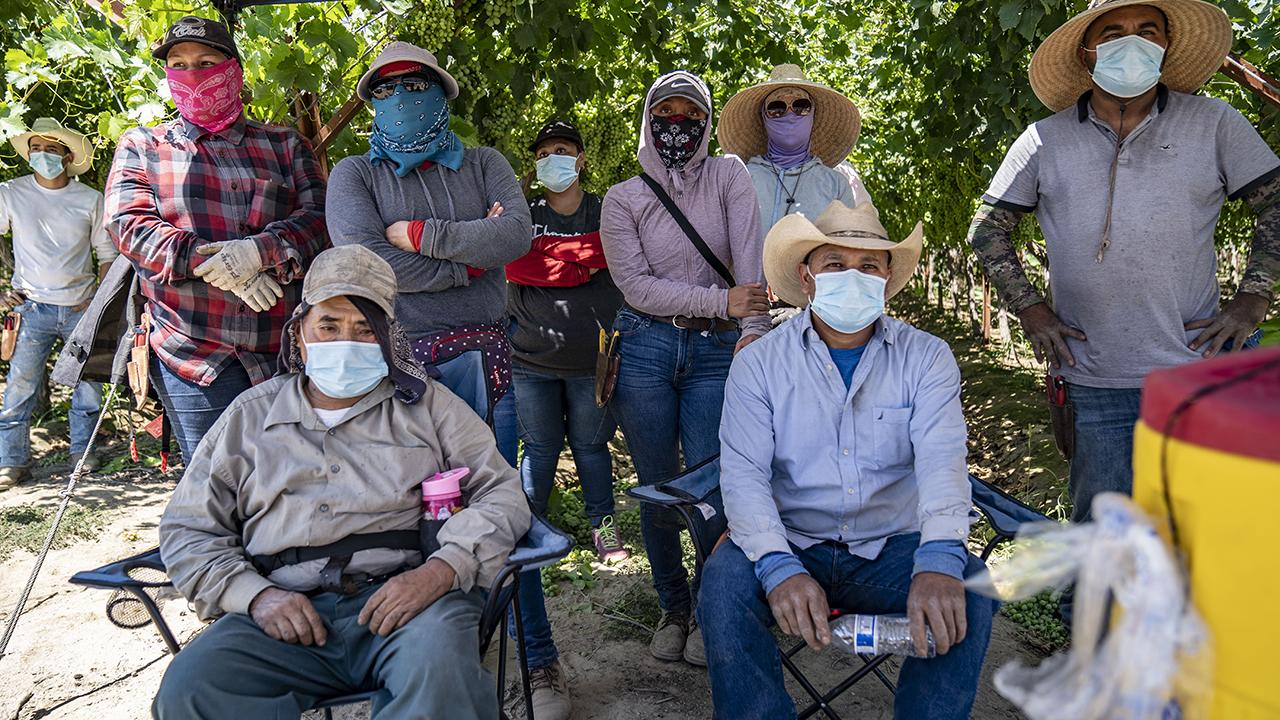 Farmworkers rest in the shade for a training