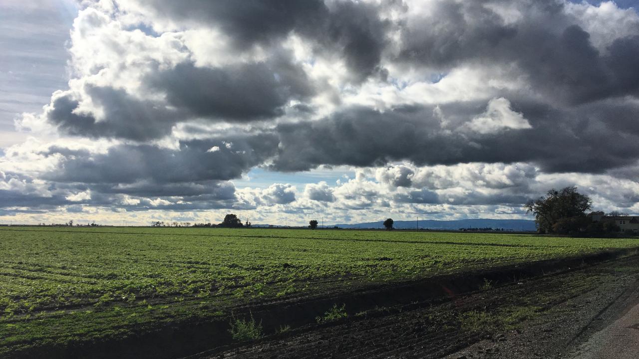 A field in Davis, CA with clouds in the sky