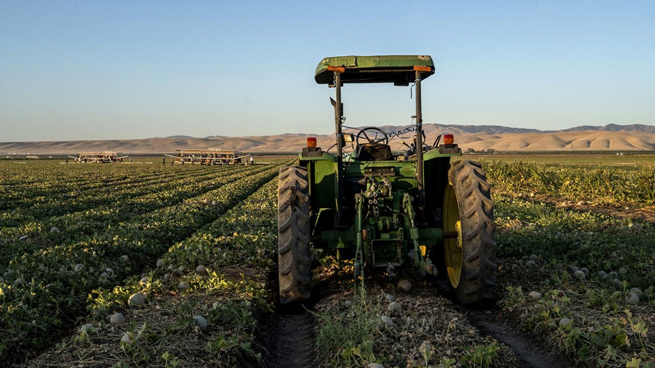 Tractor in a field