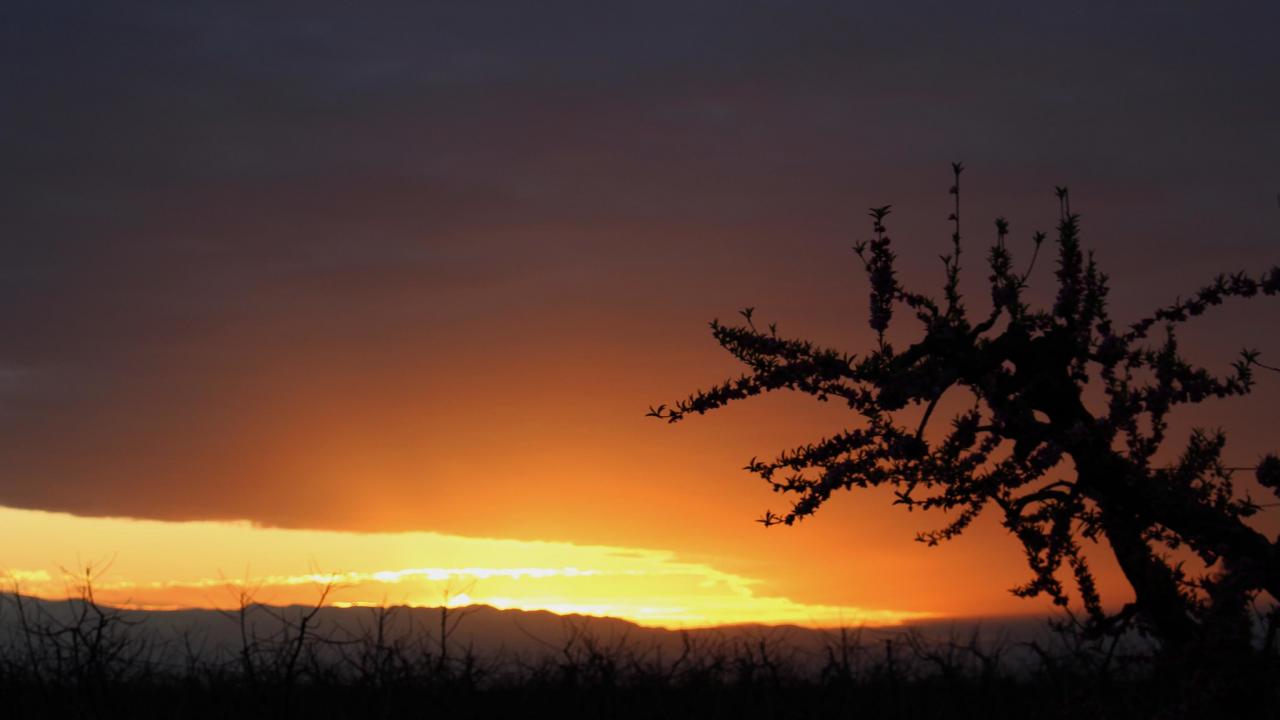 Sunset in Visalia, California